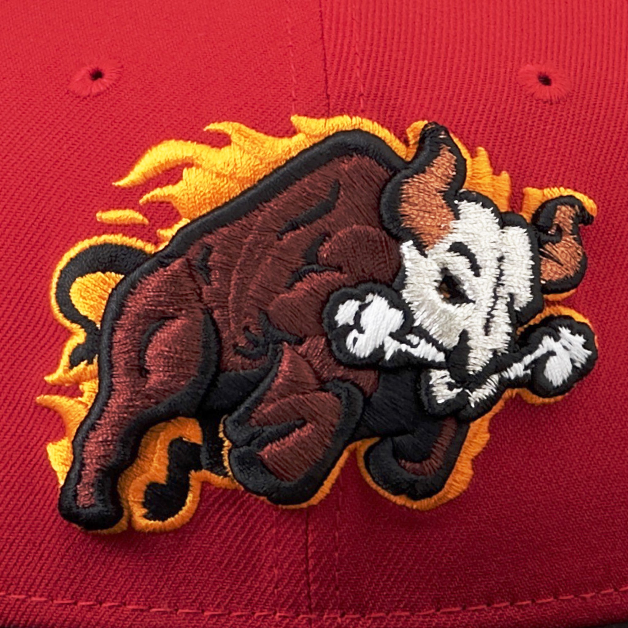 FC-TerrorBullsAlec-Logo_2048x.