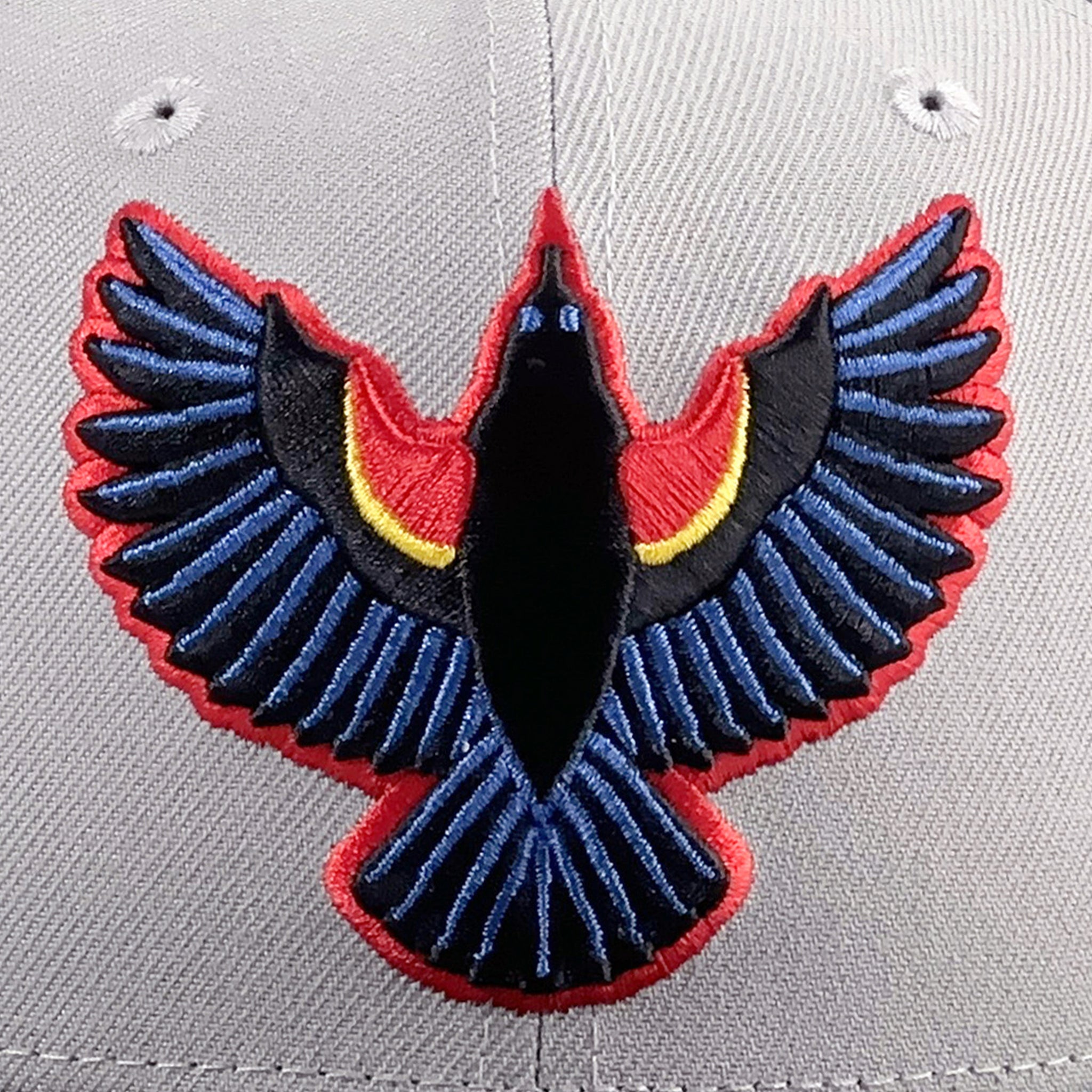 Red Winged Blackbirds 